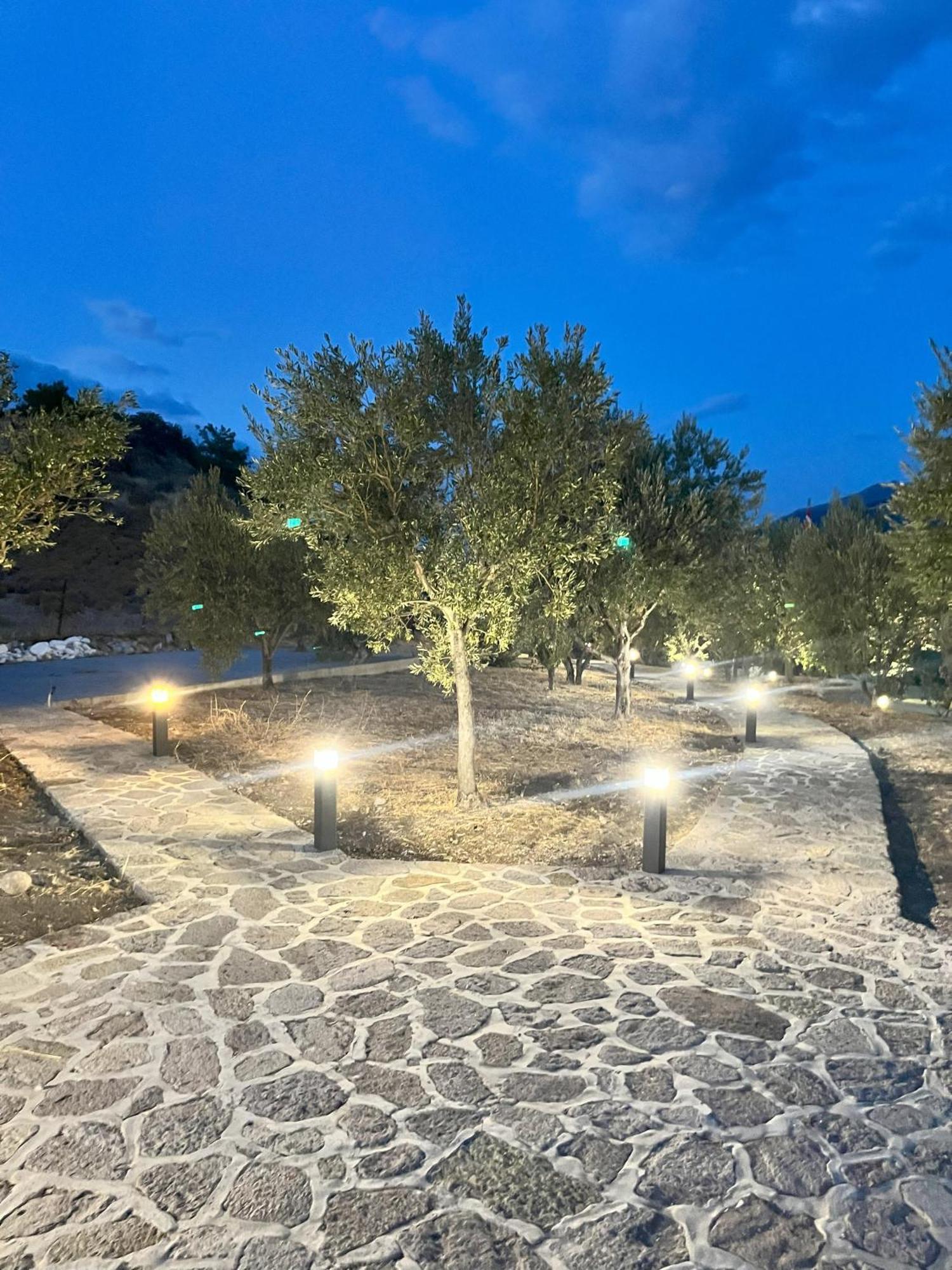Hotel Defkalion Petra  Exterior photo